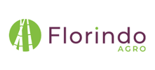 Sansão e Florindo